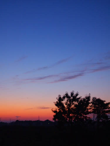 f0021369_21172724.jpg