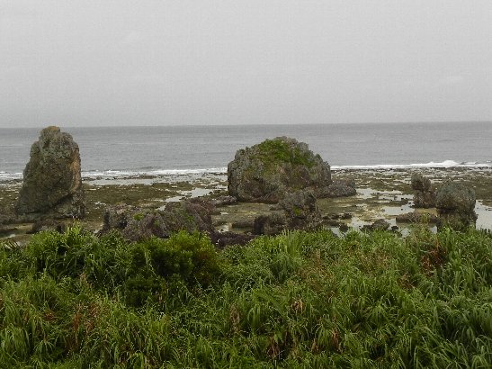 b0116271_16425662.jpg