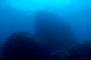 c0039073_21465921.jpg