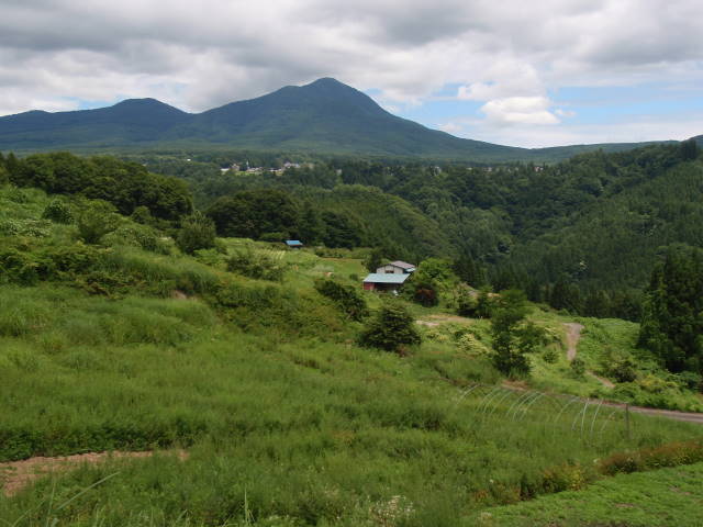a0113874_21515486.jpg