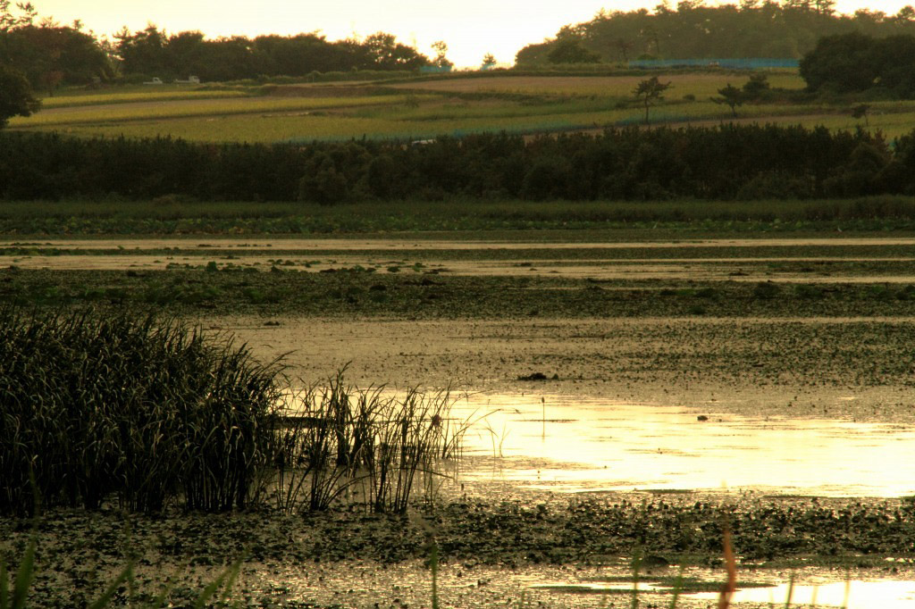 e0149577_2334680.jpg