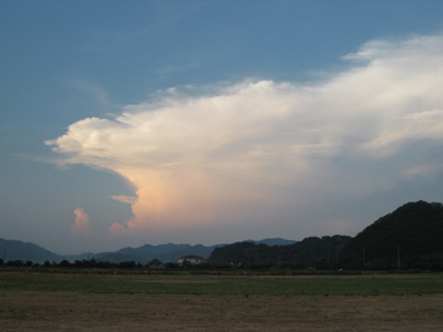 a0143686_209022.jpg