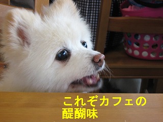 e0121589_20102746.jpg