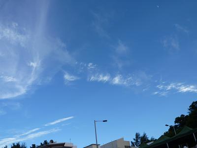 a0159690_15161247.jpg