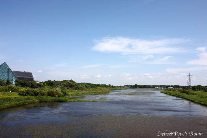 f0001895_1821893.jpg