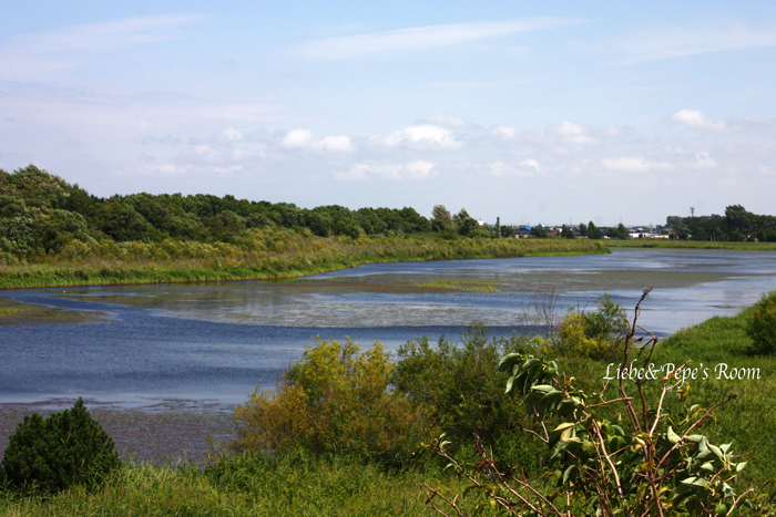 f0001895_18305.jpg
