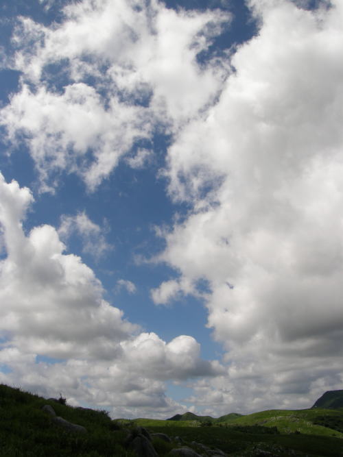 e0017396_018355.jpg