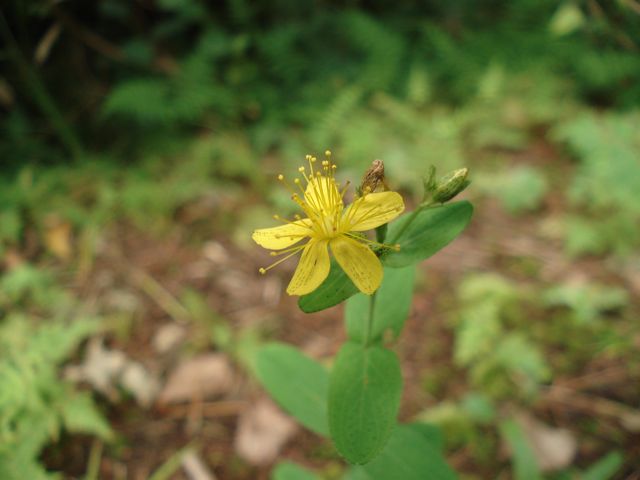 a0061599_7334844.jpg