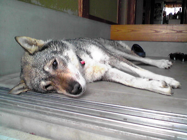 f0079202_11224839.jpg