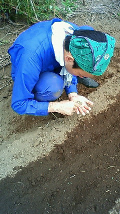 c0017505_173732.jpg