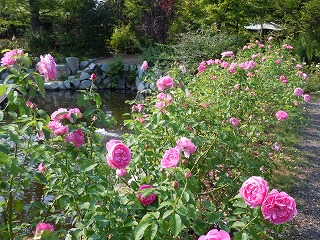 c0117007_2212948.jpg