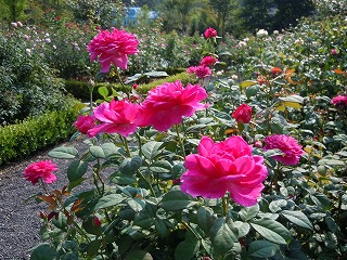 c0117007_2222892.jpg