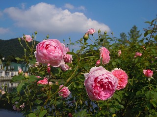 c0117007_222610.jpg