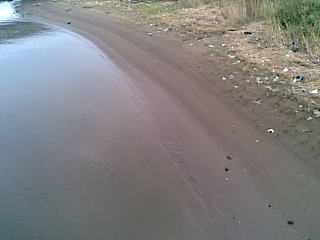 c0050708_18535688.jpg