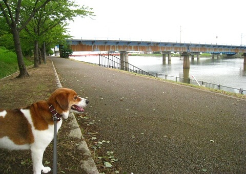 c0084117_15285428.jpg