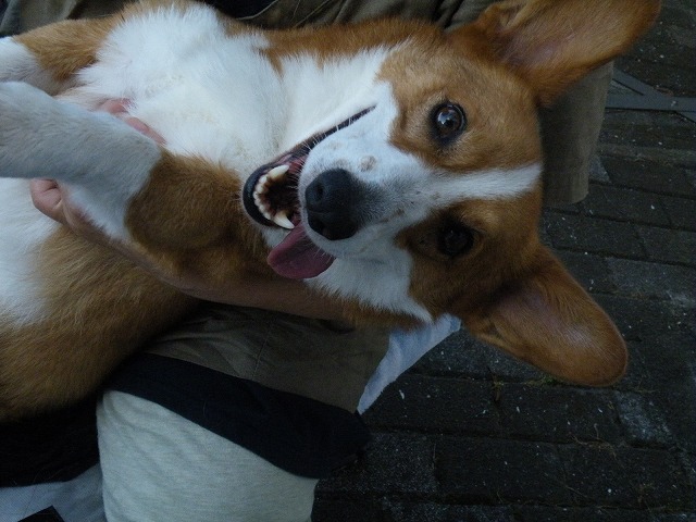 c0127617_18423350.jpg