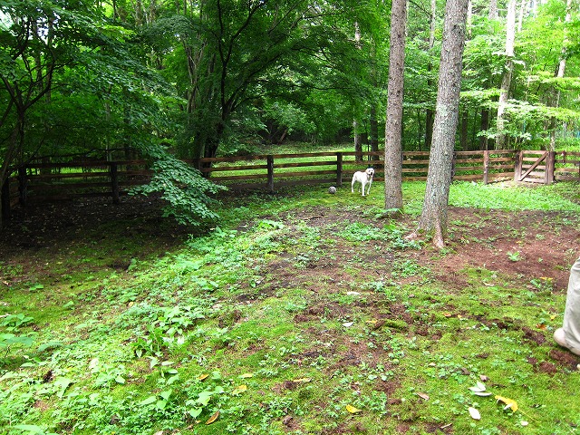 e0192217_1012479.jpg