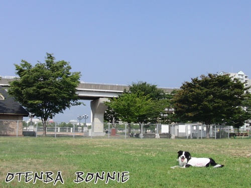e0179321_1684469.jpg