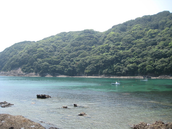 d0064329_1425913.jpg