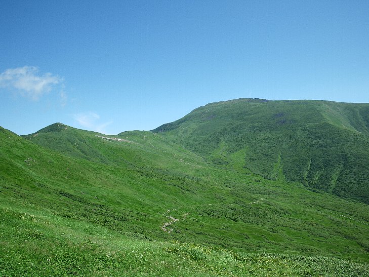 f0118332_03748.jpg