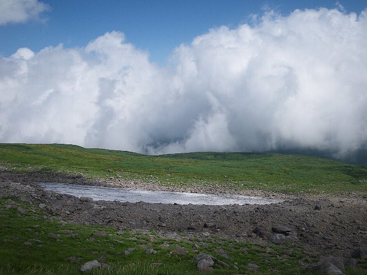 f0118332_054221.jpg