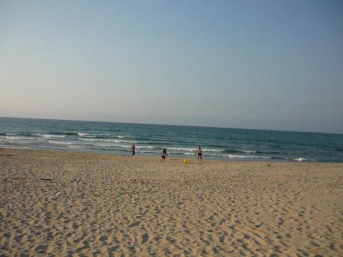 c0216434_1343214.jpg