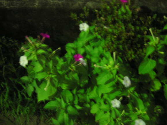 d0013834_13202810.jpg