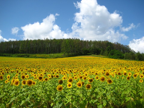 c0209845_0571549.jpg