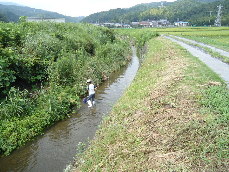 d0129745_652259.jpg