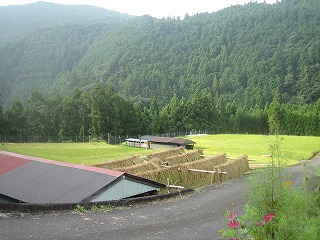 a0054948_910337.jpg