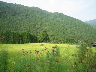 a0054948_9235134.jpg