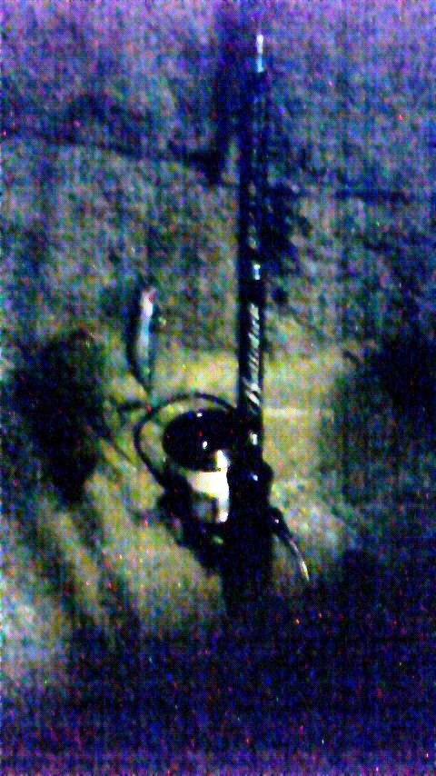 c0019951_0141320.jpg