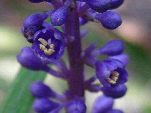 c0179351_20531350.jpg