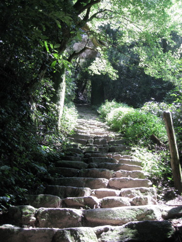 c0179351_2056868.jpg