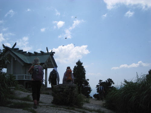 c0179351_210229.jpg