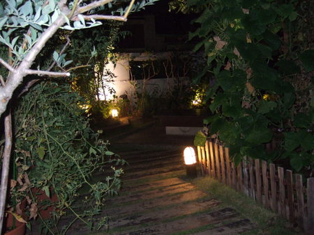 d0172852_15382291.jpg