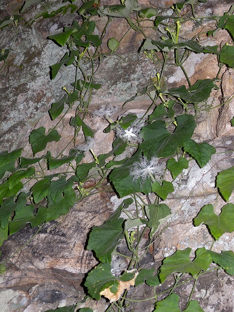 b0104861_2123362.jpg