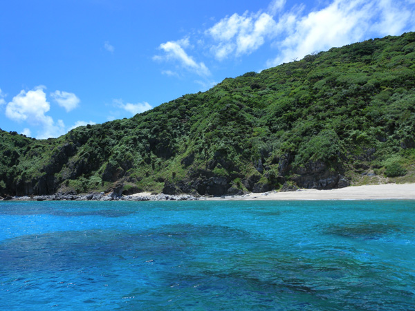 b0062363_05065.jpg