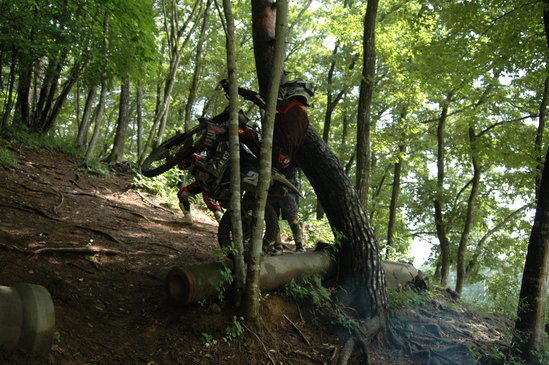 c0198263_034137.jpg