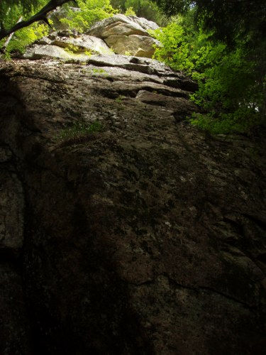 b0050067_775253.jpg