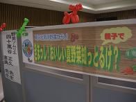 f0103873_0133268.jpg