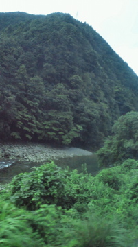 f0054677_847342.jpg