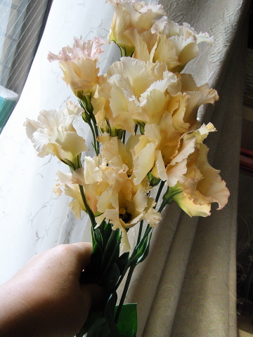 f0007380_0183228.jpg