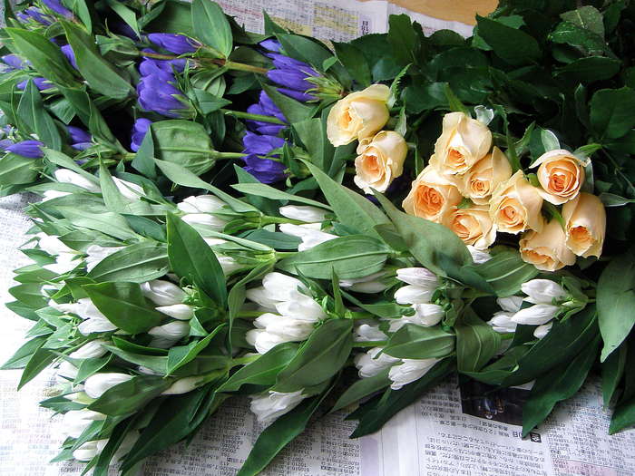 f0007380_0205140.jpg