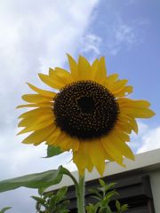 b0034381_215042100.jpg