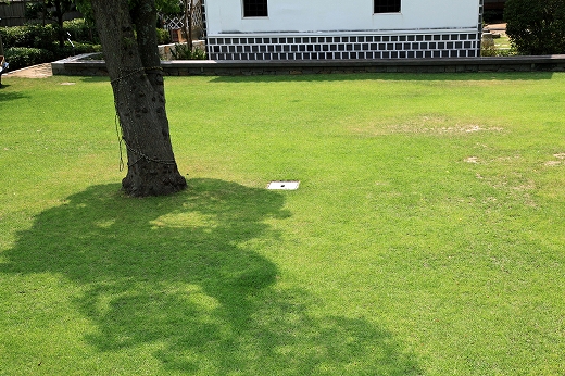 e0190885_1705247.jpg