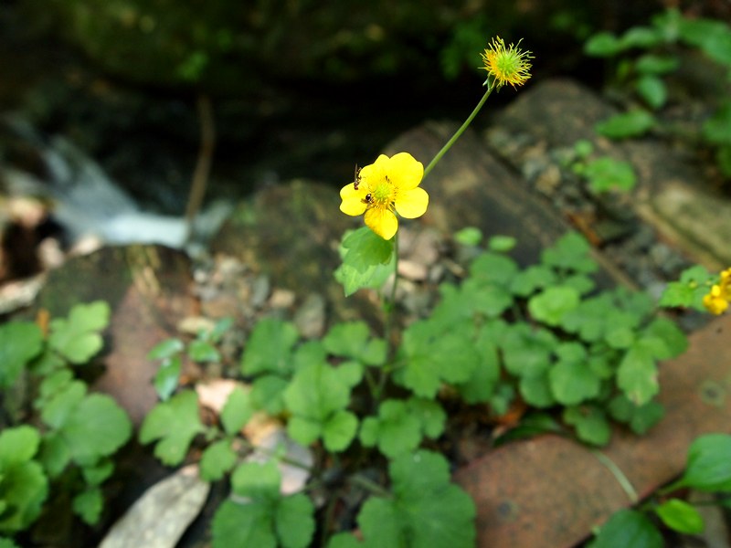 b0108186_23555830.jpg