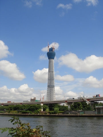 d0125890_11392979.jpg