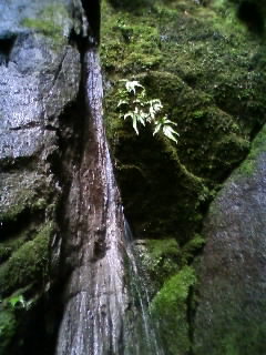 e0159905_23495868.jpg