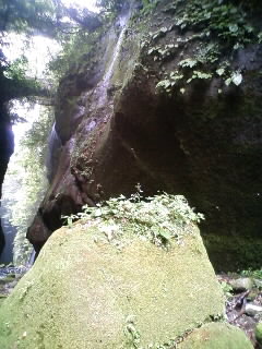 e0159905_2349785.jpg